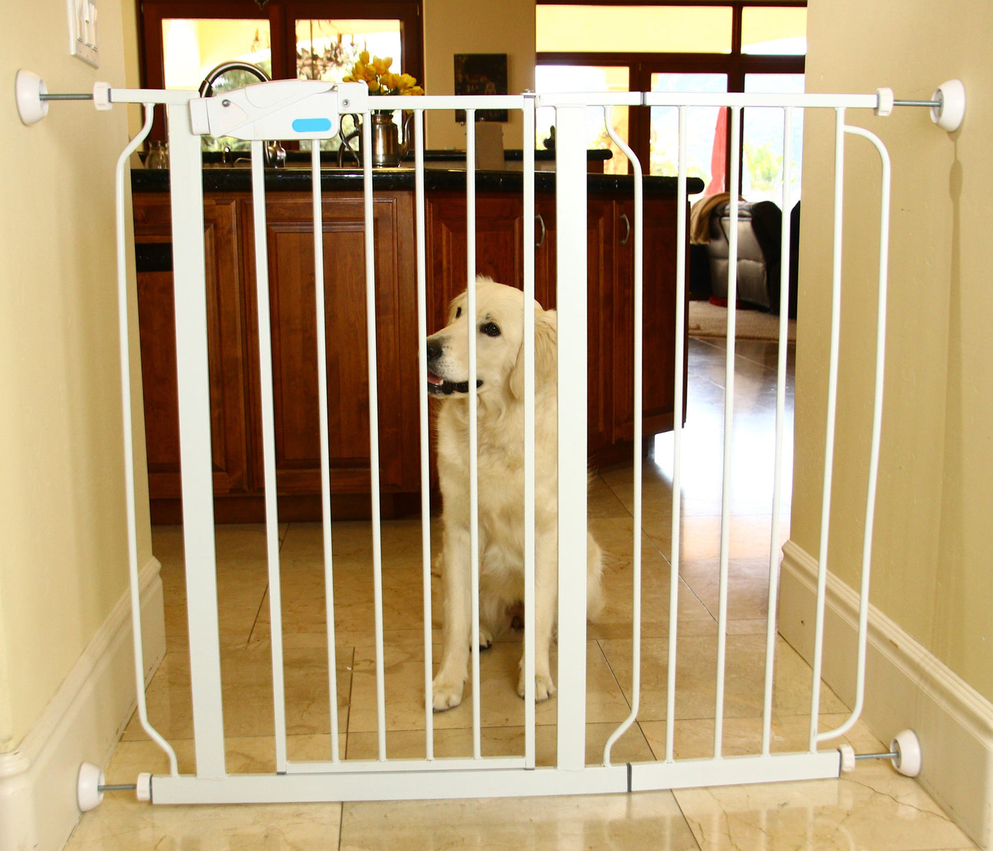 Wall Protectors